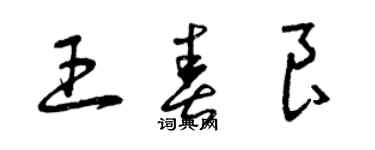 曾慶福王春良草書個性簽名怎么寫