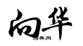 胡問遂向華行書個性簽名怎么寫