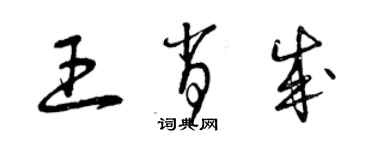 曾慶福王肖成草書個性簽名怎么寫