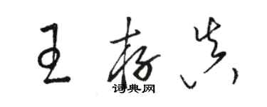 駱恆光王存真草書個性簽名怎么寫