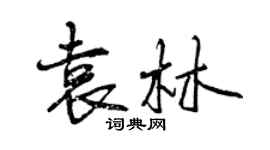 曾慶福袁林行書個性簽名怎么寫