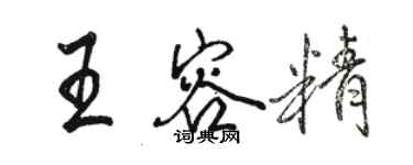 駱恆光王容精行書個性簽名怎么寫