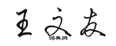 駱恆光王文友行書個性簽名怎么寫