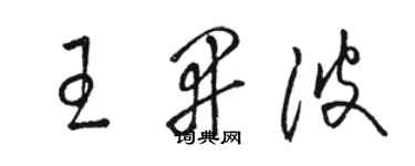 駱恆光王開波草書個性簽名怎么寫