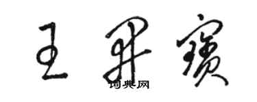 駱恆光王開寶草書個性簽名怎么寫