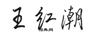 駱恆光王紅潮行書個性簽名怎么寫