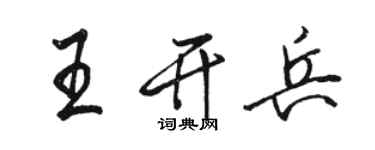 駱恆光王開兵行書個性簽名怎么寫