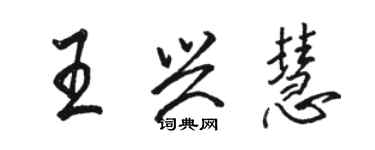 駱恆光王興慧行書個性簽名怎么寫