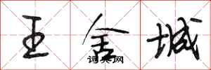 段相林王舍城行書怎么寫
