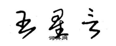 朱錫榮王星言草書個性簽名怎么寫