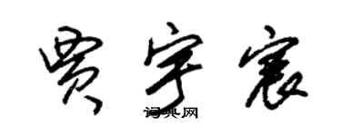 朱錫榮賈宇宸草書個性簽名怎么寫