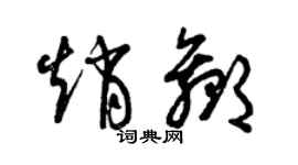 曾慶福趙贏草書個性簽名怎么寫