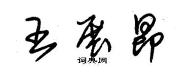 朱錫榮王展昂草書個性簽名怎么寫