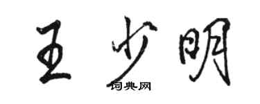 駱恆光王少明行書個性簽名怎么寫