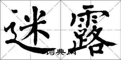 翁闓運迷露楷書怎么寫