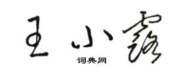 駱恆光王小露草書個性簽名怎么寫