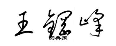 梁錦英王鋼峰草書個性簽名怎么寫