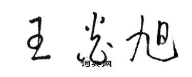 駱恆光王炎旭草書個性簽名怎么寫