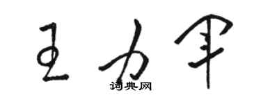 駱恆光王力軍草書個性簽名怎么寫