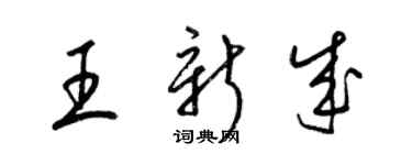 梁錦英王新成草書個性簽名怎么寫