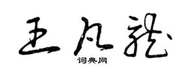 曾慶福王凡龍草書個性簽名怎么寫
