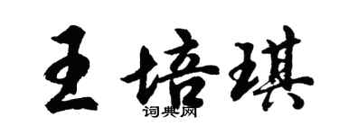 胡問遂王培琪行書個性簽名怎么寫