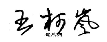 朱錫榮王柯嵐草書個性簽名怎么寫