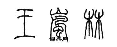 陳墨王嵐林篆書個性簽名怎么寫