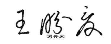 駱恆光王盼夏草書個性簽名怎么寫