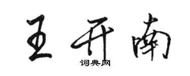 駱恆光王開南行書個性簽名怎么寫