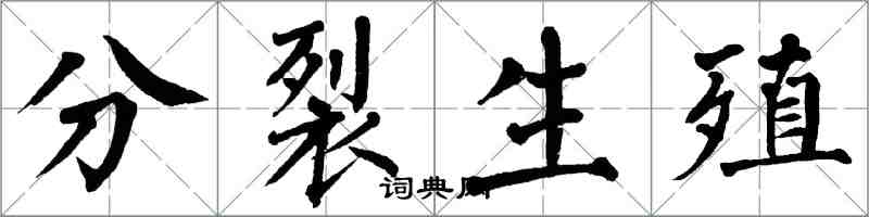 翁闓運分裂生殖楷書怎么寫