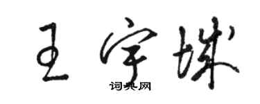 駱恆光王宇城草書個性簽名怎么寫