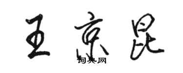 駱恆光王京昆行書個性簽名怎么寫