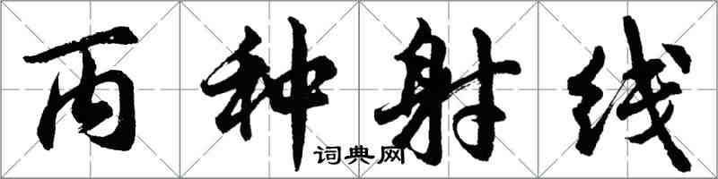 胡問遂丙種射線行書怎么寫