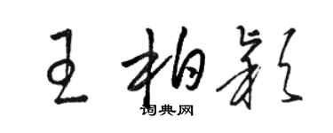 駱恆光王柏穎草書個性簽名怎么寫