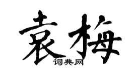 翁闓運袁梅楷書個性簽名怎么寫