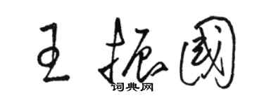 駱恆光王振國草書個性簽名怎么寫