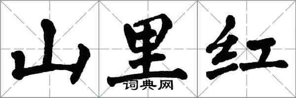 翁闓運山里紅楷書怎么寫