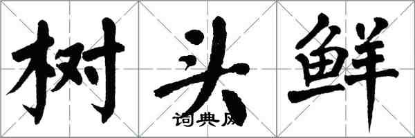 翁闓運樹頭鮮楷書怎么寫