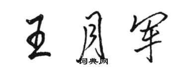 駱恆光王月軍行書個性簽名怎么寫