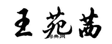 胡問遂王苑茜行書個性簽名怎么寫