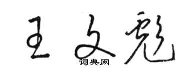 駱恆光王文彪草書個性簽名怎么寫