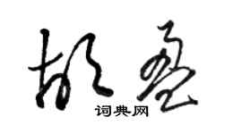 駱恆光胡盈草書個性簽名怎么寫