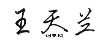 駱恆光王天蘭行書個性簽名怎么寫