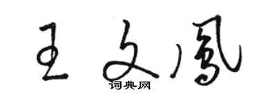 駱恆光王文鳳草書個性簽名怎么寫