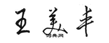 駱恆光王美豐行書個性簽名怎么寫