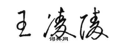 駱恆光王凌陵草書個性簽名怎么寫