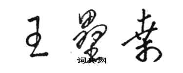 駱恆光王壘桑草書個性簽名怎么寫