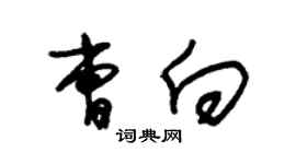 朱錫榮曹向草書個性簽名怎么寫
