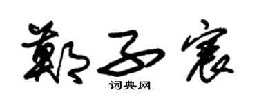 朱錫榮鄭子宸草書個性簽名怎么寫